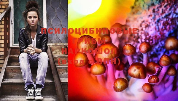хмурый Нея