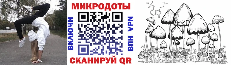 Галлюциногенные грибы Psilocybe  Лысьва 